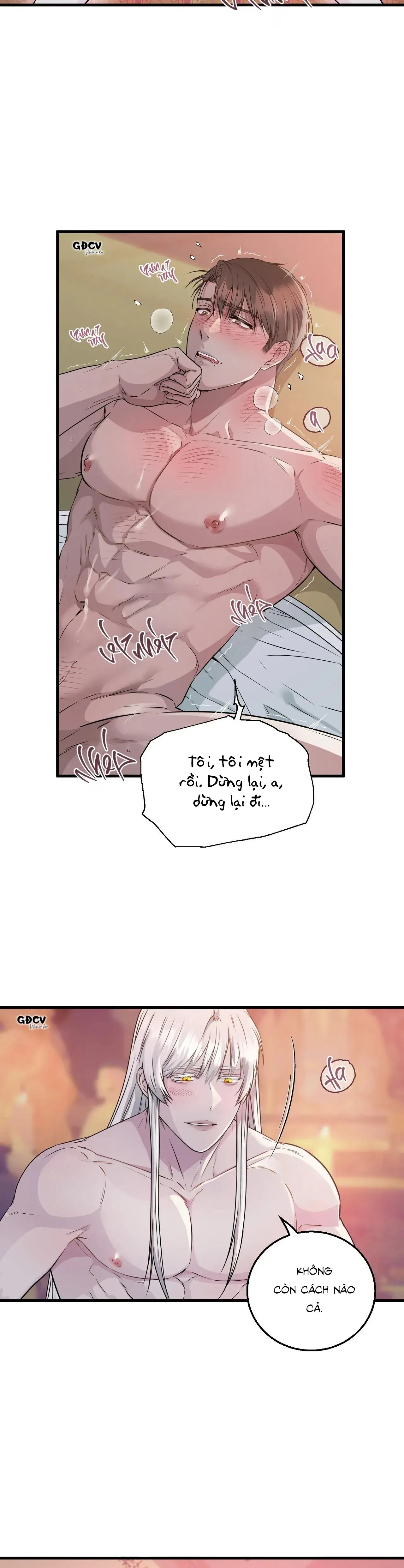 CỨU TINH CỦA RẮN Chapter 2 Trang 15