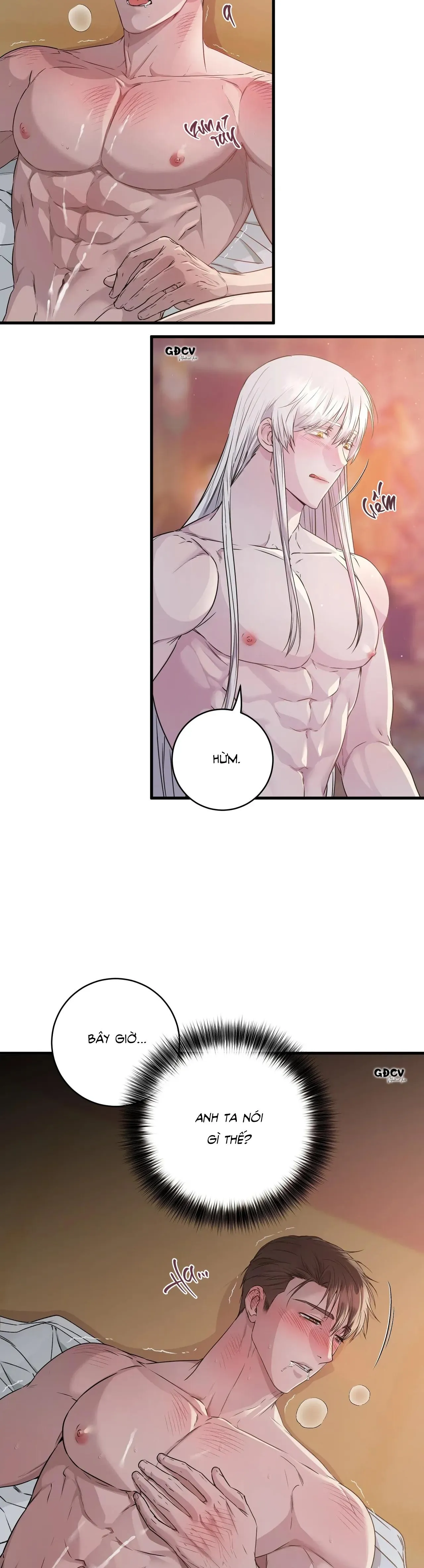 CỨU TINH CỦA RẮN Chapter 2 Trang 18