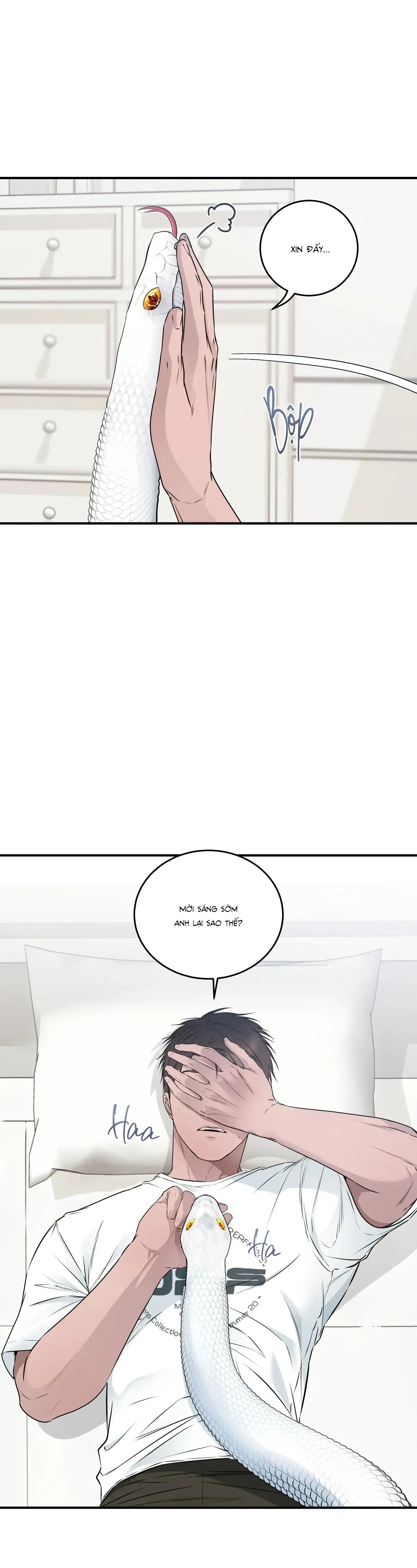 CỨU TINH CỦA RẮN Chapter 7 Trang 26