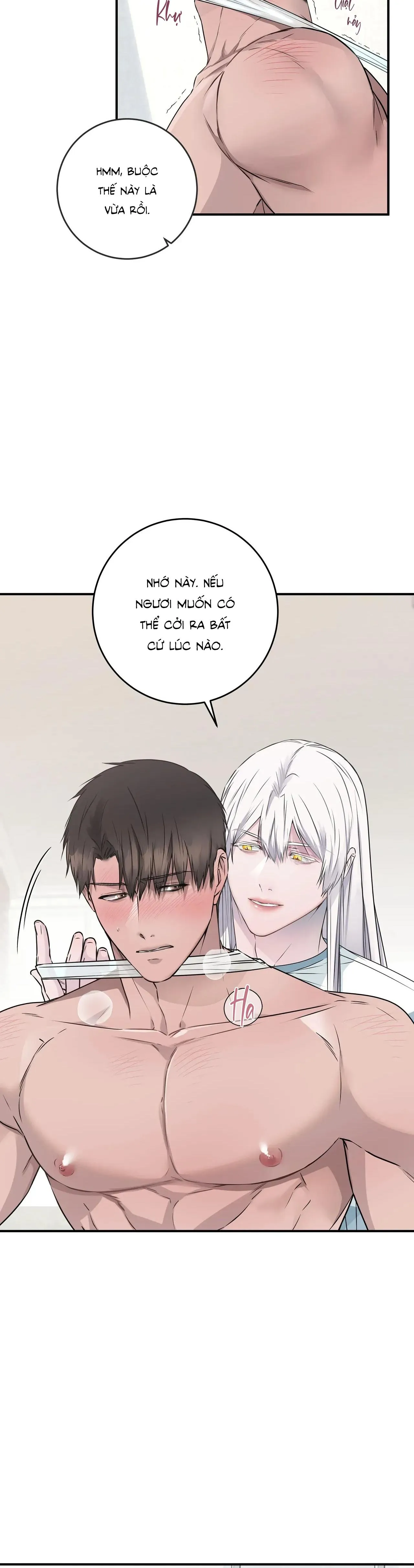 CỨU TINH CỦA RẮN Chapter 8 Trang 7