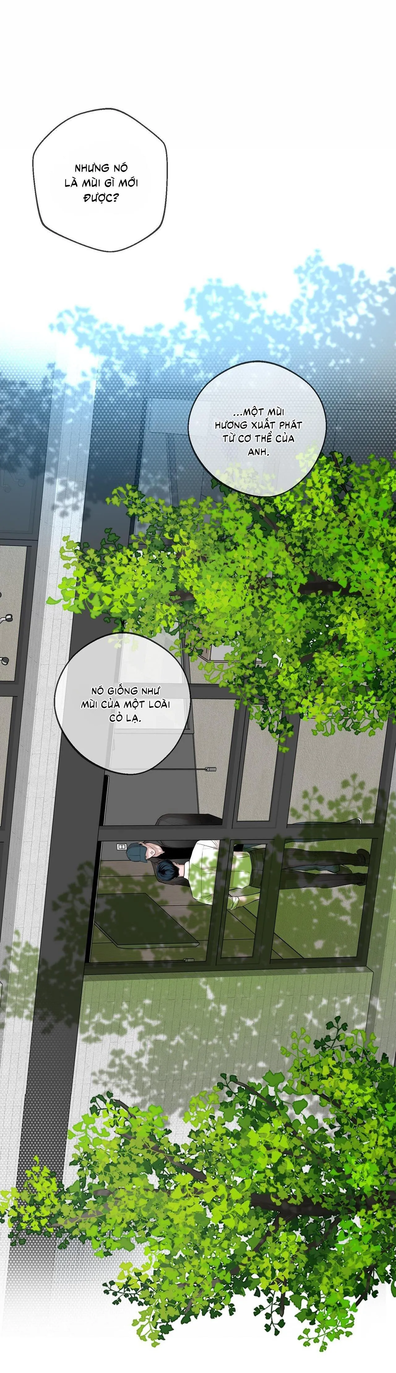 |DROP| CÚ DASH Chapter 8 Trang 38