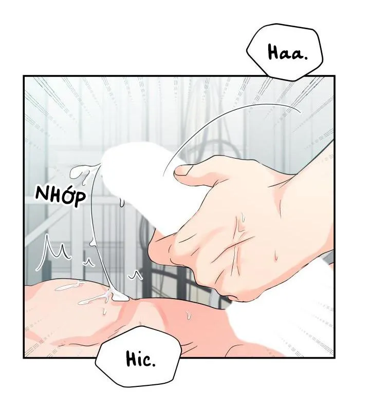 ĐÃ GIAO HÀNG Chapter 4 Trang 34