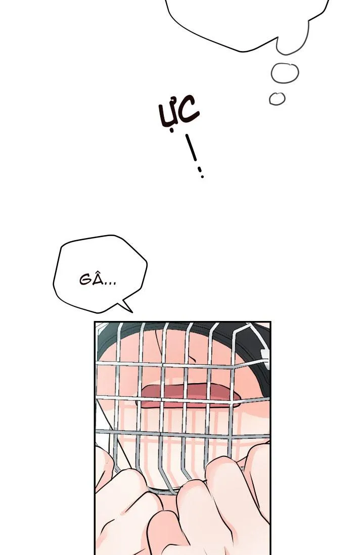 ĐÃ GIAO HÀNG Chapter 6 Trang 33