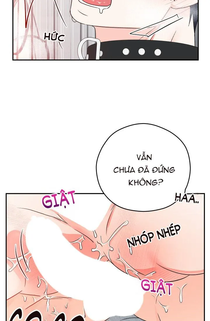 ĐÃ GIAO HÀNG Chapter 6 Trang 65