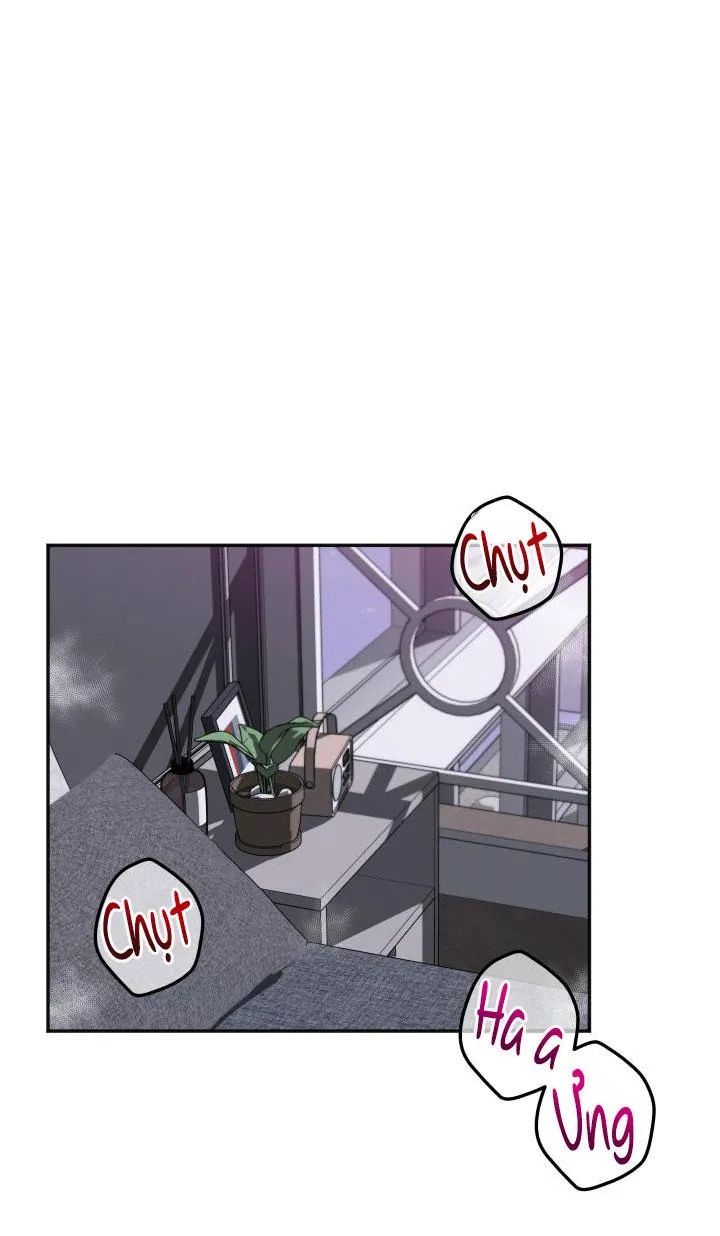 ĐÃ GIAO HÀNG Chapter 16 Trang 33