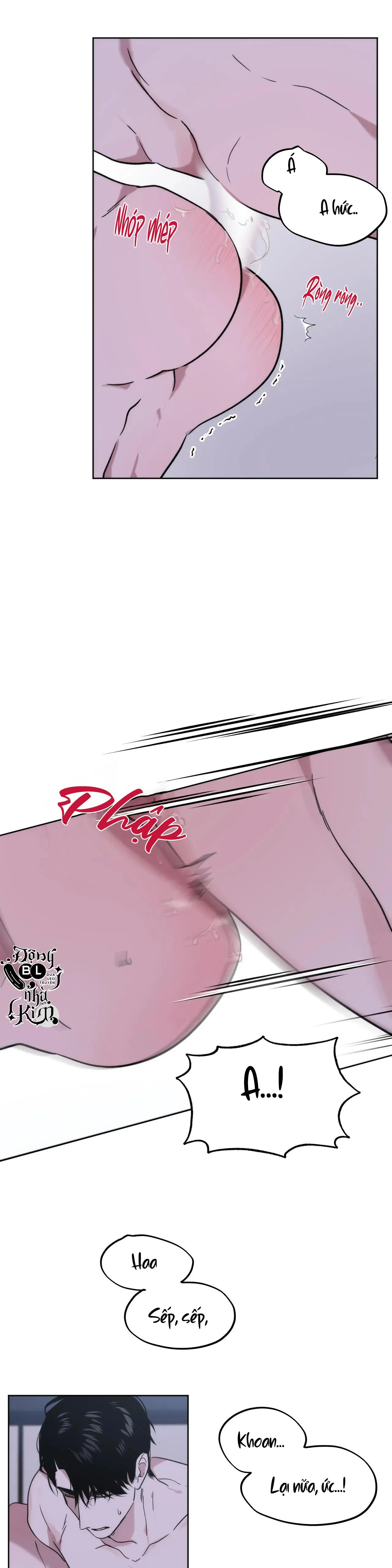 ĐÃ HIỂU CHƯA Chapter 12 Trang 22