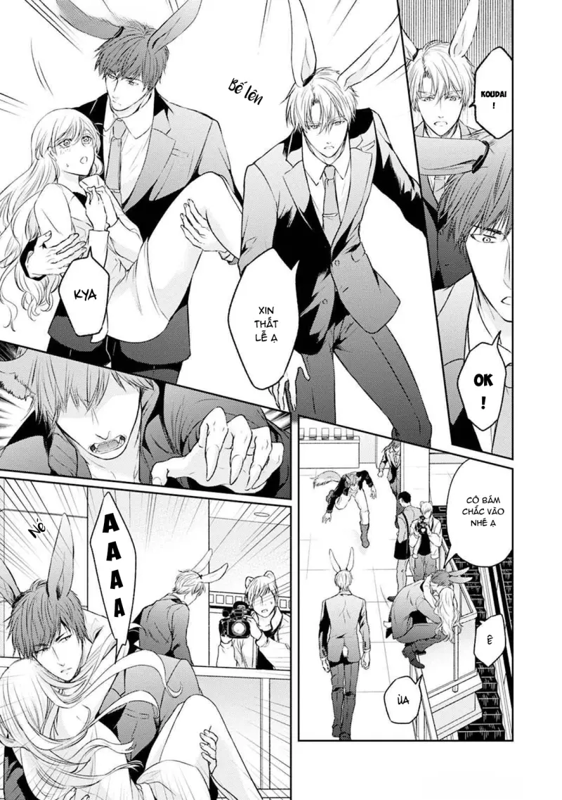 Đã Đến Lúc Cưng Chiều Rồi! Chapter 4 Trang 3