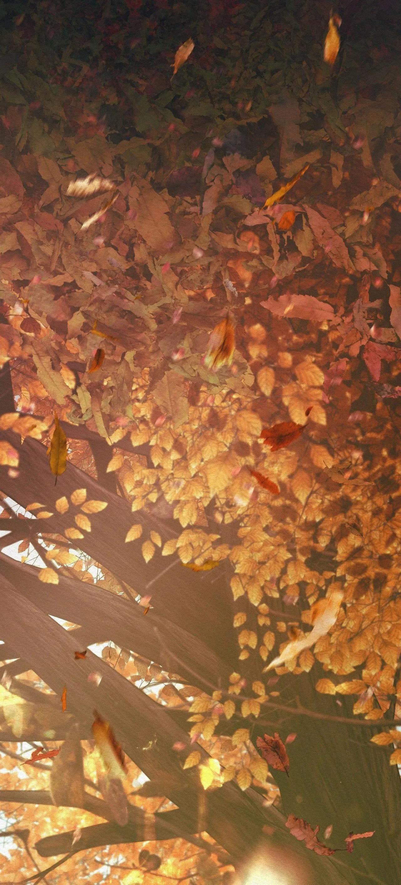 Củy Dạ Khút Chapter 63 Trang 4