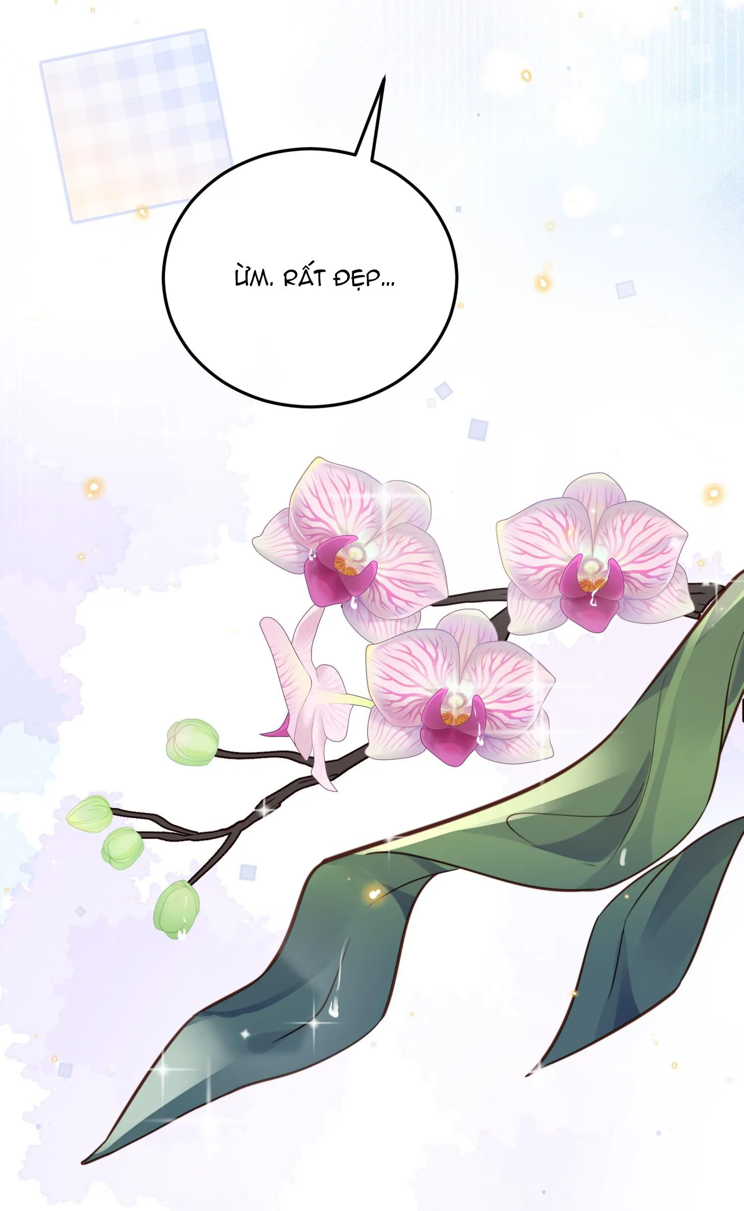 (END) Đặc Chế Cho Riêng Anh Chapter 44 Trang 27