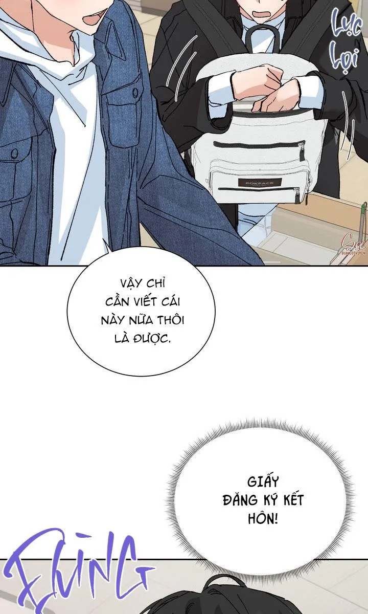 ĐẶC QUYỀN CHO CẶP ĐÔI MỚI CƯỚI Chapter 2 Trang 3