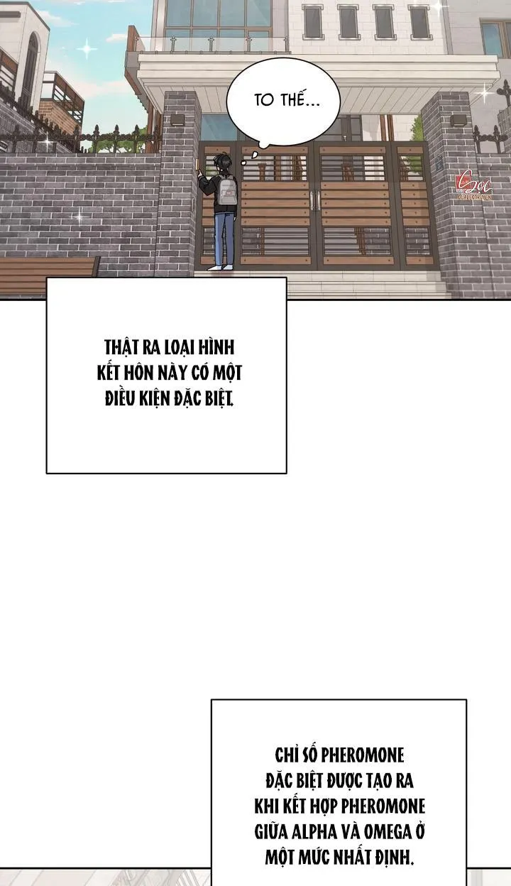 ĐẶC QUYỀN CHO CẶP ĐÔI MỚI CƯỚI Chapter 2 Trang 22