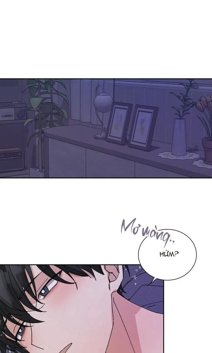 ĐẶC QUYỀN CHO CẶP ĐÔI MỚI CƯỚI Chapter 2 Trang 52