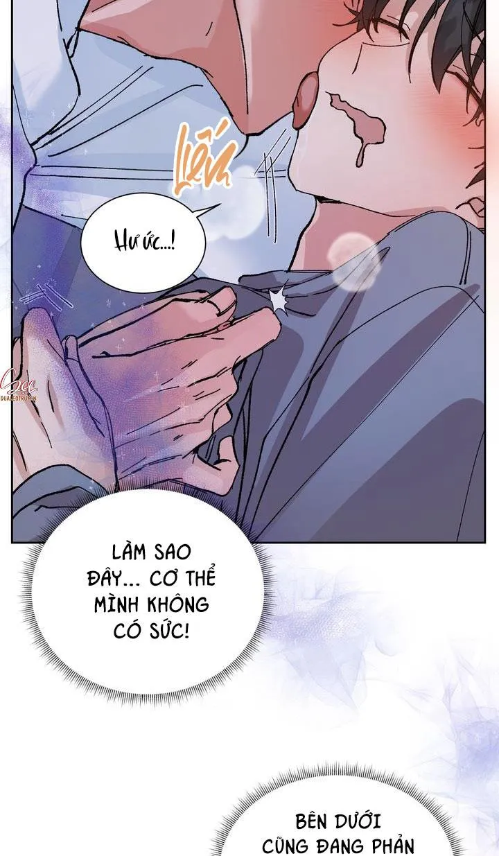 ĐẶC QUYỀN CHO CẶP ĐÔI MỚI CƯỚI Chapter 3 Trang 5