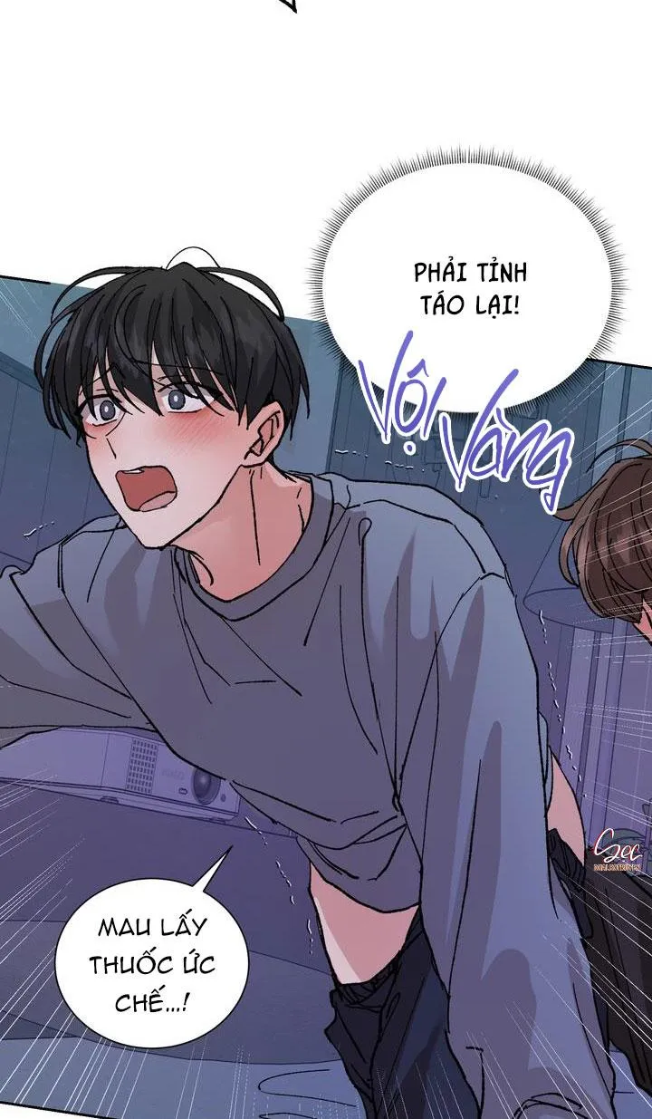 ĐẶC QUYỀN CHO CẶP ĐÔI MỚI CƯỚI Chapter 3 Trang 9