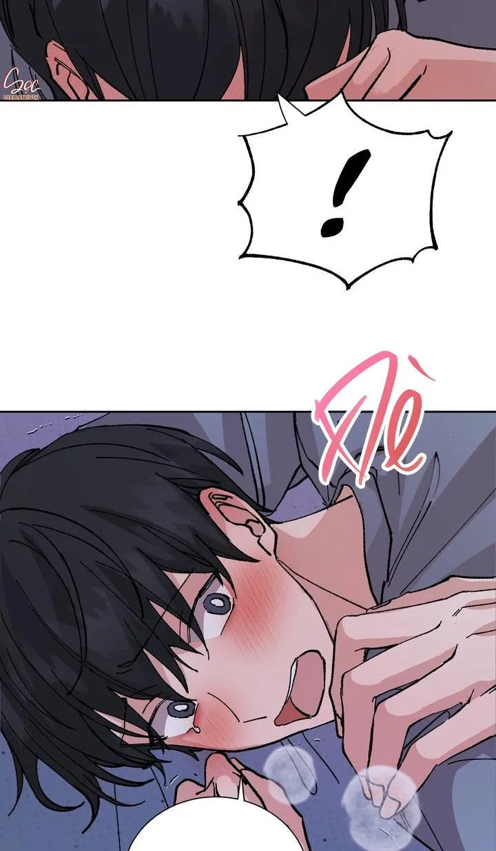 ĐẶC QUYỀN CHO CẶP ĐÔI MỚI CƯỚI Chapter 3 Trang 12