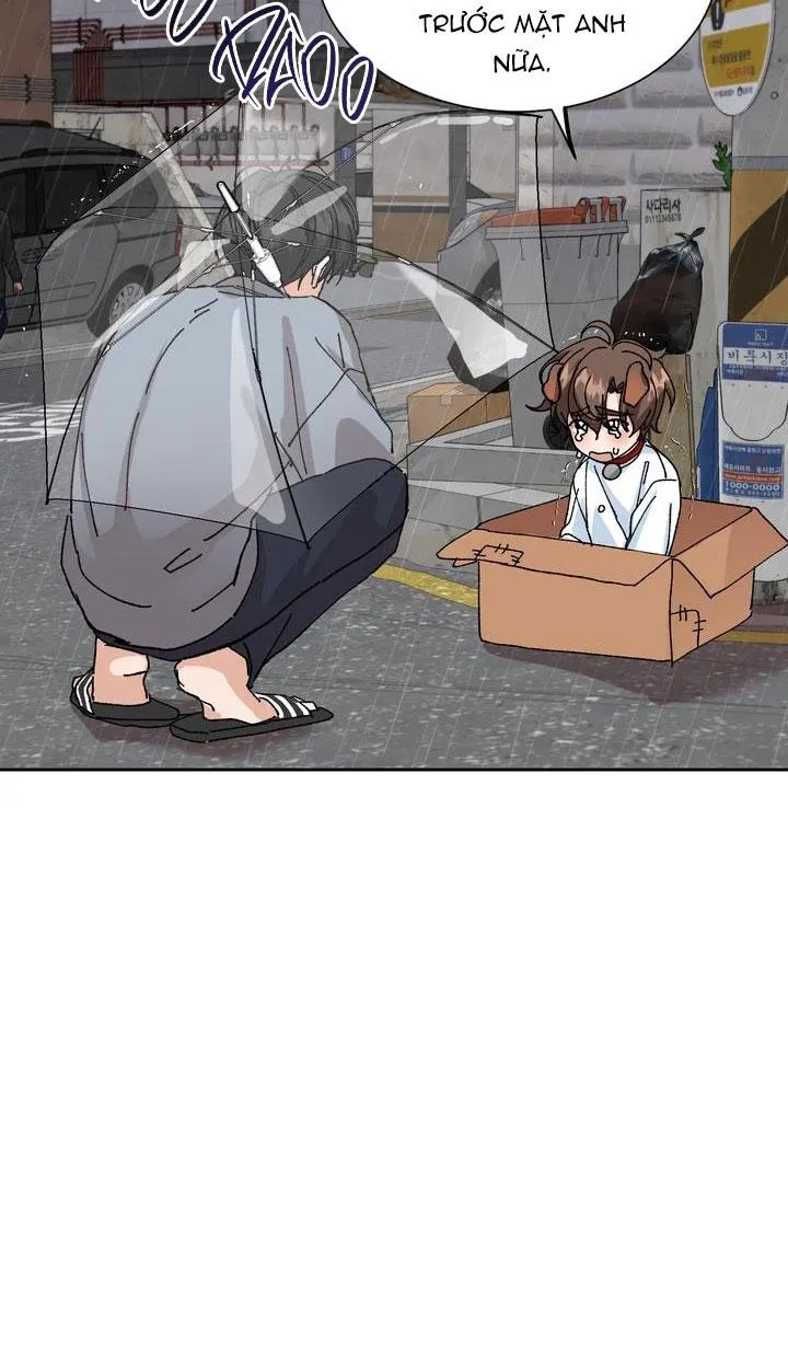 ĐẶC QUYỀN CHO CẶP ĐÔI MỚI CƯỚI Chapter 3 Trang 56