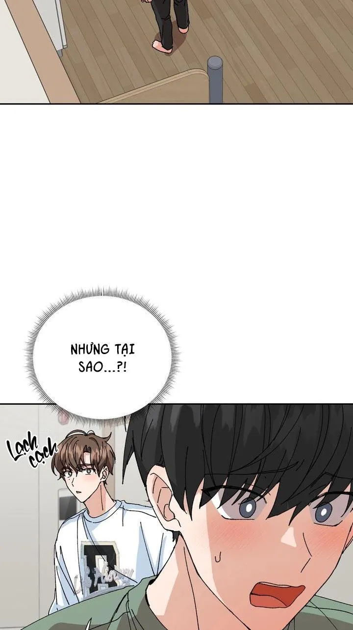 ĐẶC QUYỀN CHO CẶP ĐÔI MỚI CƯỚI Chapter 8 Trang 4