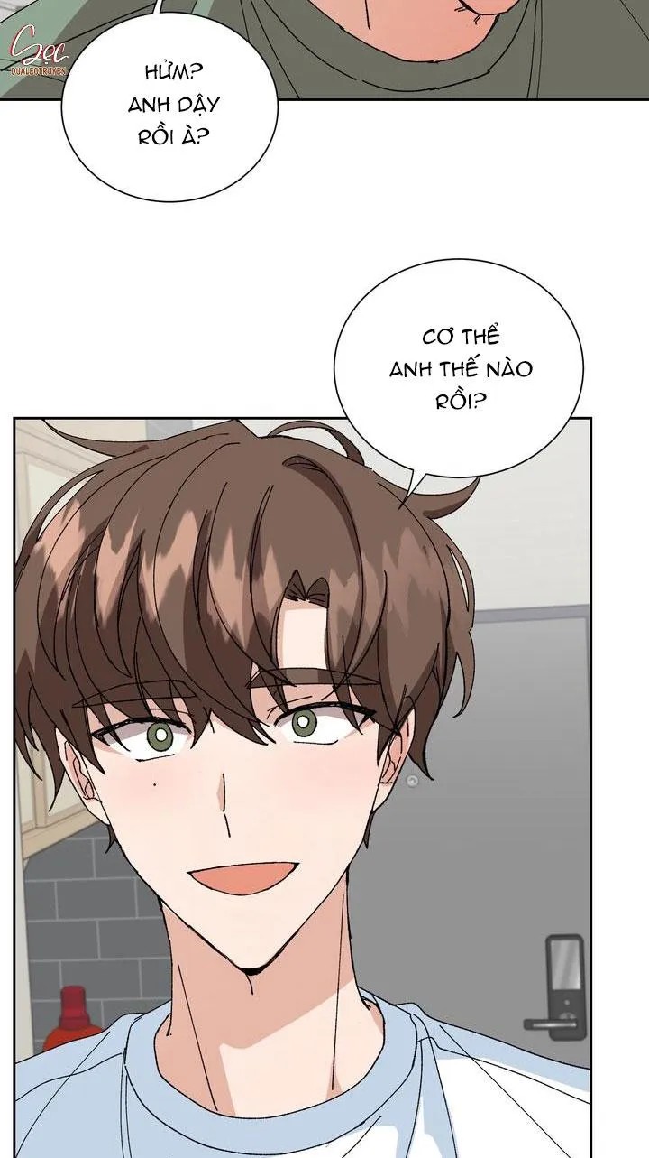 ĐẶC QUYỀN CHO CẶP ĐÔI MỚI CƯỚI Chapter 8 Trang 5