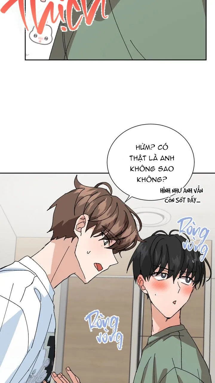 ĐẶC QUYỀN CHO CẶP ĐÔI MỚI CƯỚI Chapter 8 Trang 7