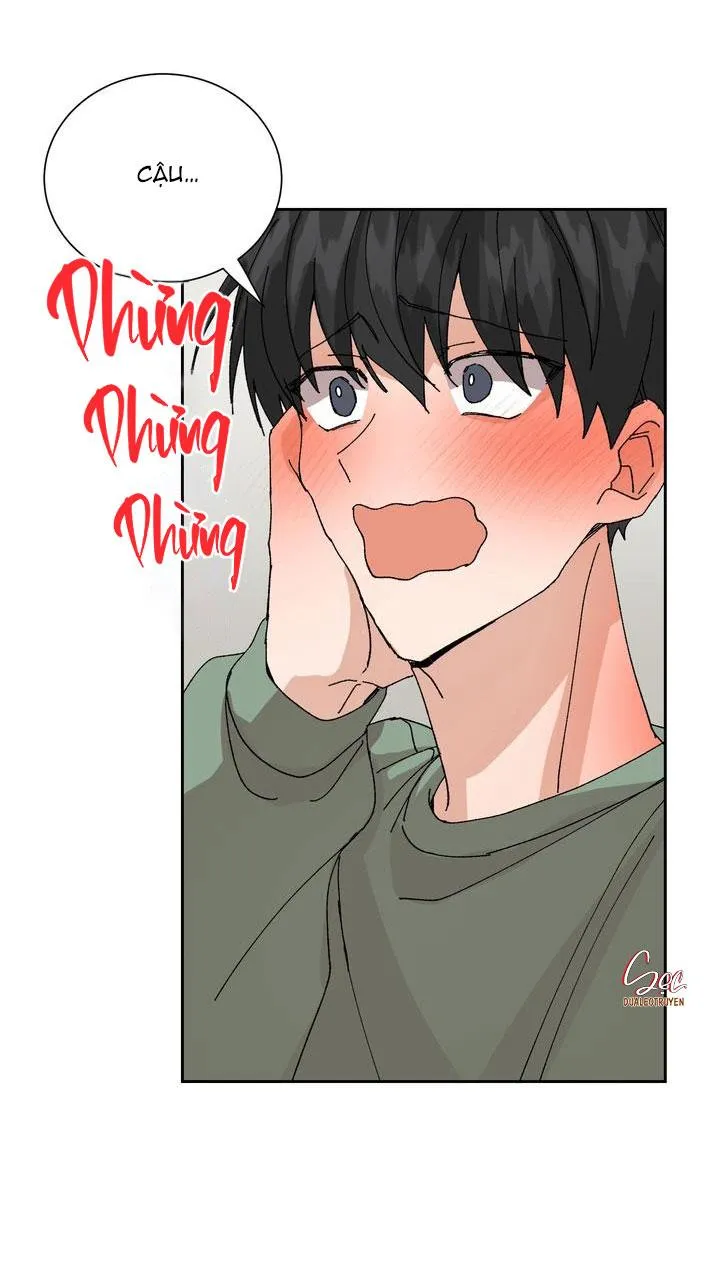 ĐẶC QUYỀN CHO CẶP ĐÔI MỚI CƯỚI Chapter 8 Trang 33