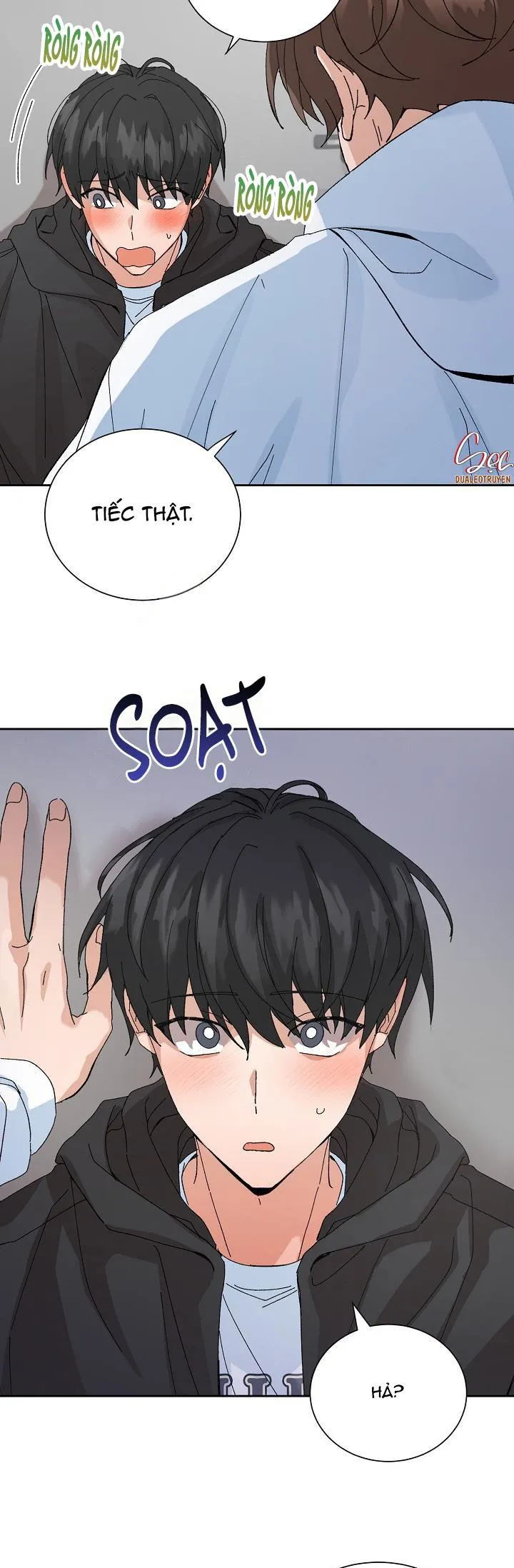 ĐẶC QUYỀN CHO CẶP ĐÔI MỚI CƯỚI Chapter 12 Trang 7