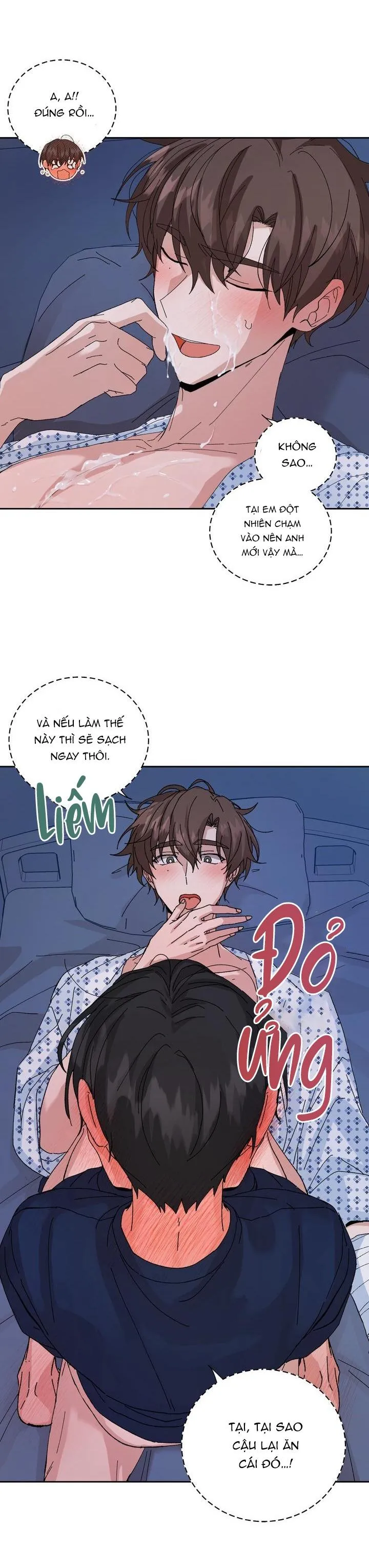 ĐẶC QUYỀN CHO CẶP ĐÔI MỚI CƯỚI Chapter 19 Trang 5