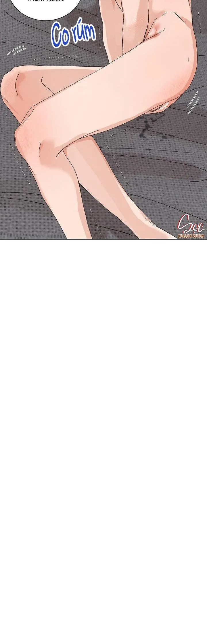 ĐẶC QUYỀN CHO CẶP ĐÔI MỚI CƯỚI Chapter 24 Trang 12