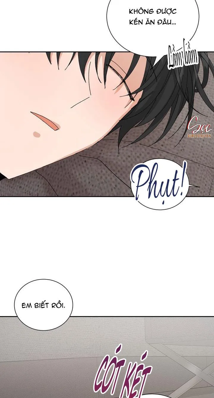 ĐẶC QUYỀN CHO CẶP ĐÔI MỚI CƯỚI Chapter 24 Trang 37