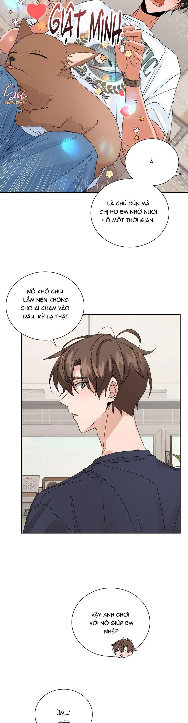 ĐẶC QUYỀN CHO CẶP ĐÔI MỚI CƯỚI Chapter 25 Trang 17