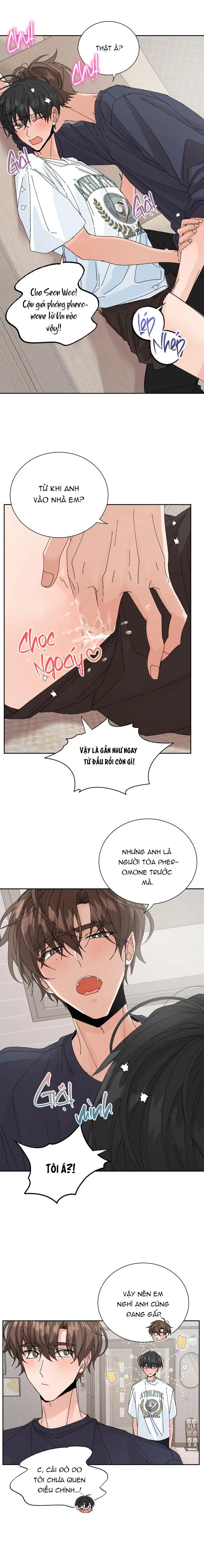 ĐẶC QUYỀN CHO CẶP ĐÔI MỚI CƯỚI Chapter 26 Trang 3