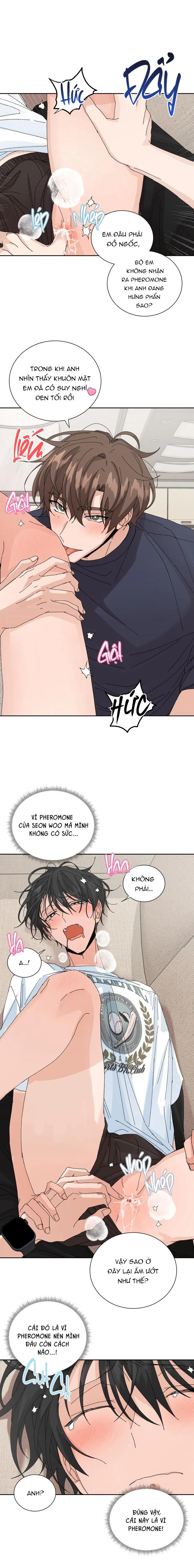 ĐẶC QUYỀN CHO CẶP ĐÔI MỚI CƯỚI Chapter 26 Trang 4