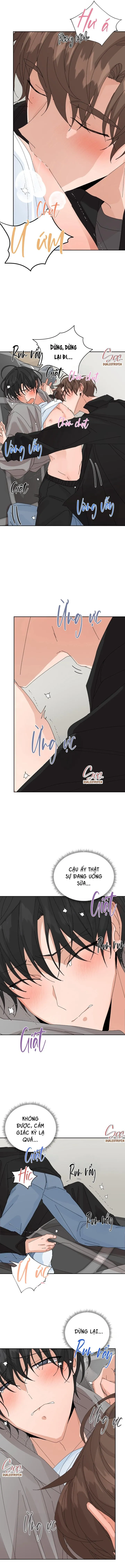 ĐẶC QUYỀN CHO CẶP ĐÔI MỚI CƯỚI Chapter 41 Trang 6