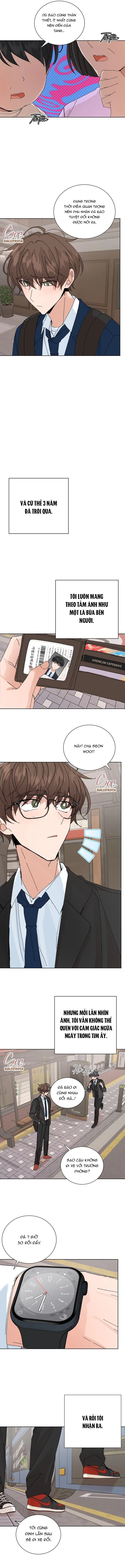 ĐẶC QUYỀN CHO CẶP ĐÔI MỚI CƯỚI Chapter 44 Trang 4