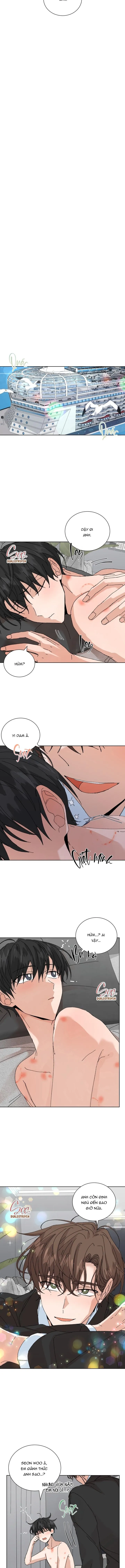 ĐẶC QUYỀN CHO CẶP ĐÔI MỚI CƯỚI Chapter 50 Trang 4