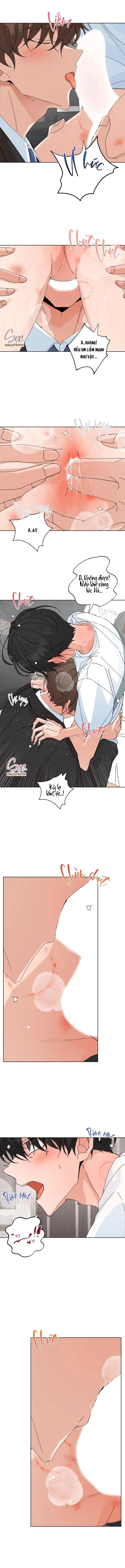 ĐẶC QUYỀN CHO CẶP ĐÔI MỚI CƯỚI Chapter 50 Trang 10