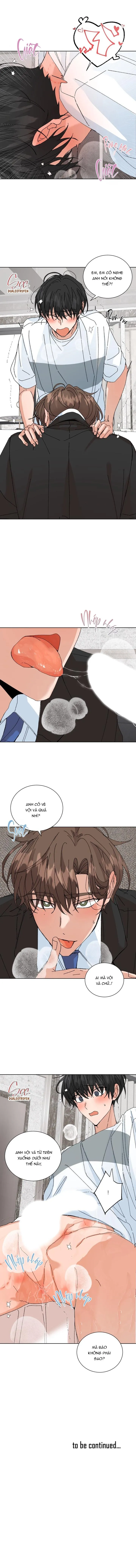 ĐẶC QUYỀN CHO CẶP ĐÔI MỚI CƯỚI Chapter 50 Trang 11