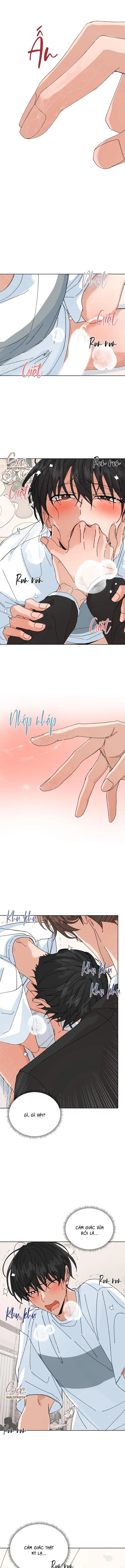 ĐẶC QUYỀN CHO CẶP ĐÔI MỚI CƯỚI Chapter 51 Trang 3