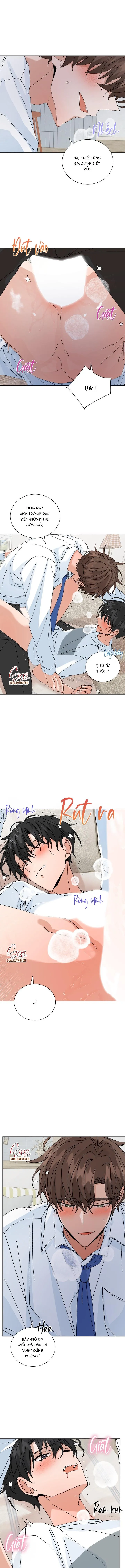 ĐẶC QUYỀN CHO CẶP ĐÔI MỚI CƯỚI Chapter 51 Trang 8