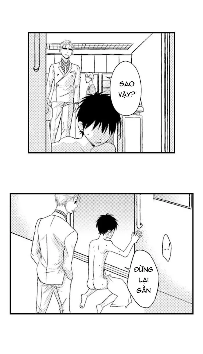 Daddy Có Vị Của Bơ Chapter 5 Trang 4