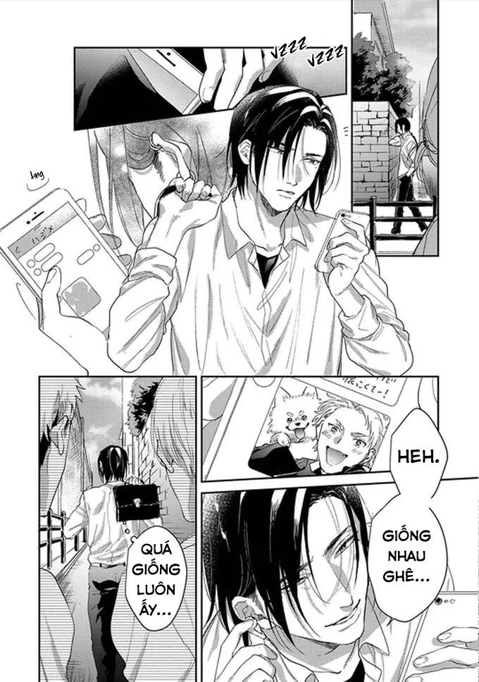 Đại ca à! Xin hãy cho em yêu anh Chapter 3 Trang 15