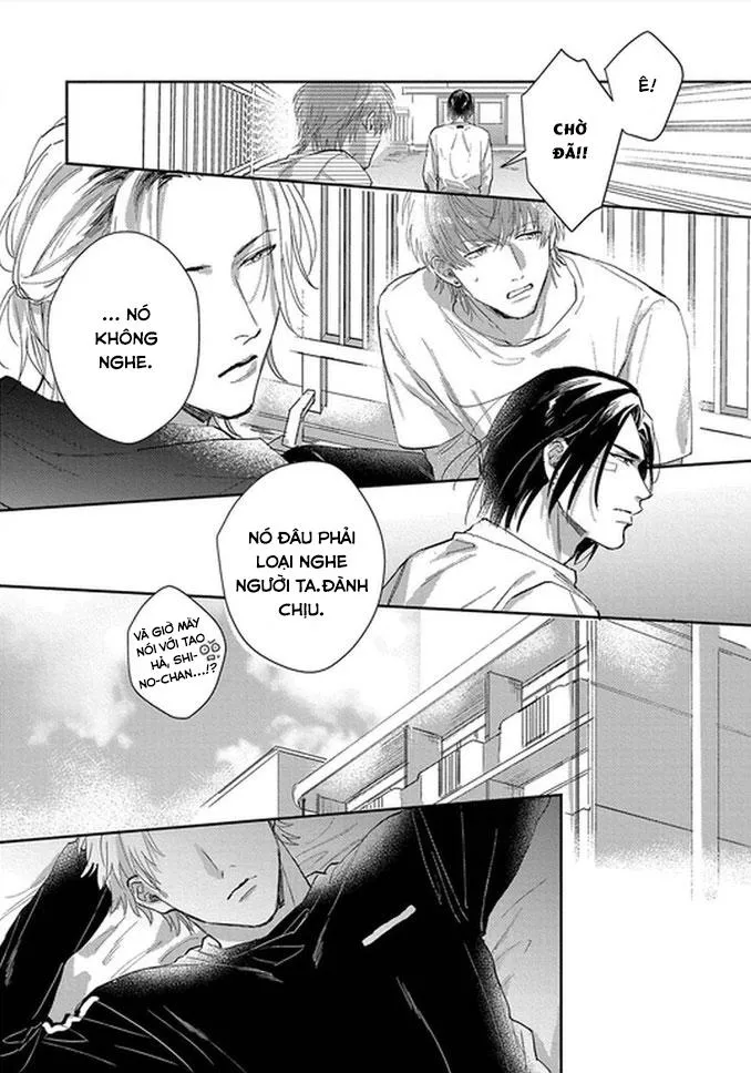 Đại ca à! Xin hãy cho em yêu anh Chapter 4 Trang 6