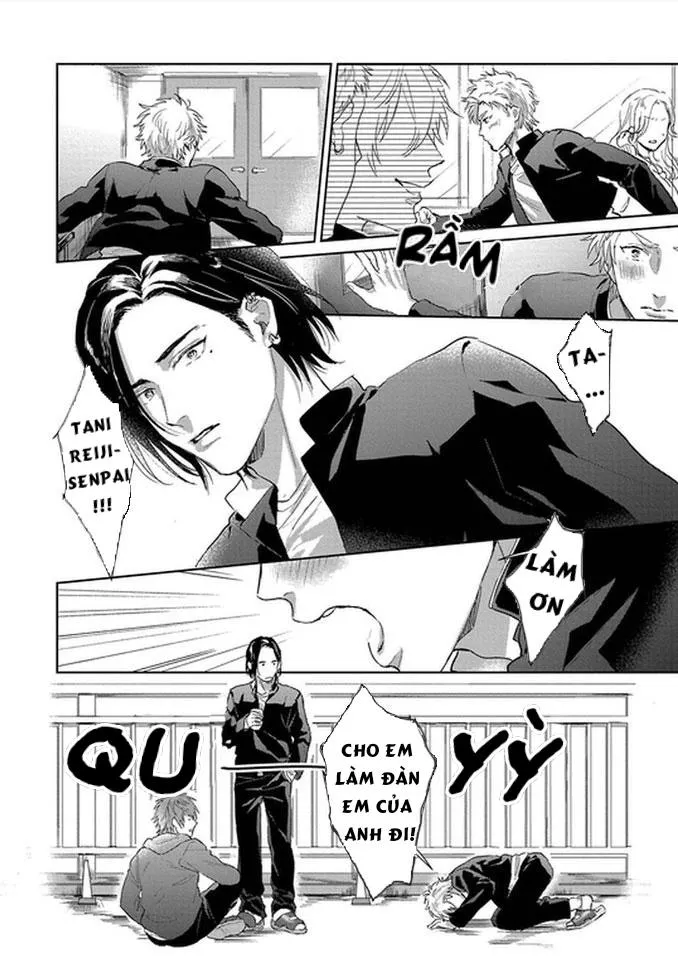 Đại ca à! Xin hãy cho em yêu anh Chapter 1 Trang 6