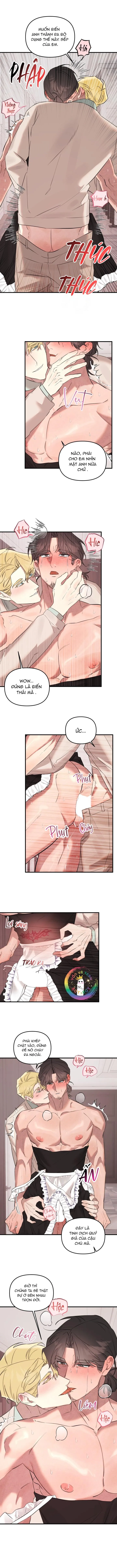 (END) Đại Ca Tôi Là Một Tên Dâm Đãng Chapter 2 Trang 9