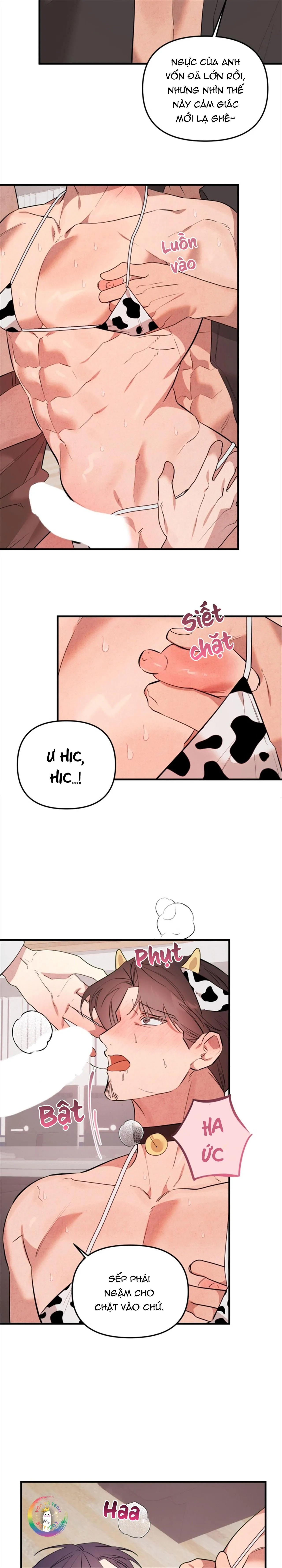 (END) Đại Ca Tôi Là Một Tên Dâm Đãng Chapter 8 Trang 13