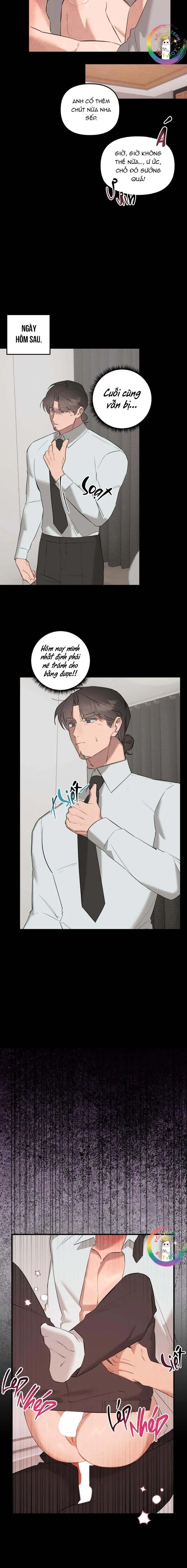 (END) Đại Ca Tôi Là Một Tên Dâm Đãng Chapter 10 Trang 6