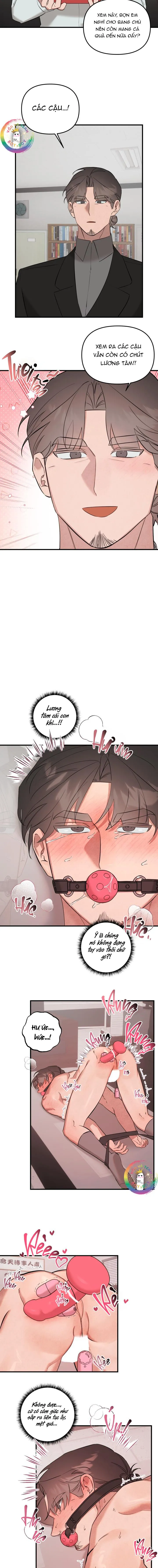 (END) Đại Ca Tôi Là Một Tên Dâm Đãng Chapter 10 Trang 11