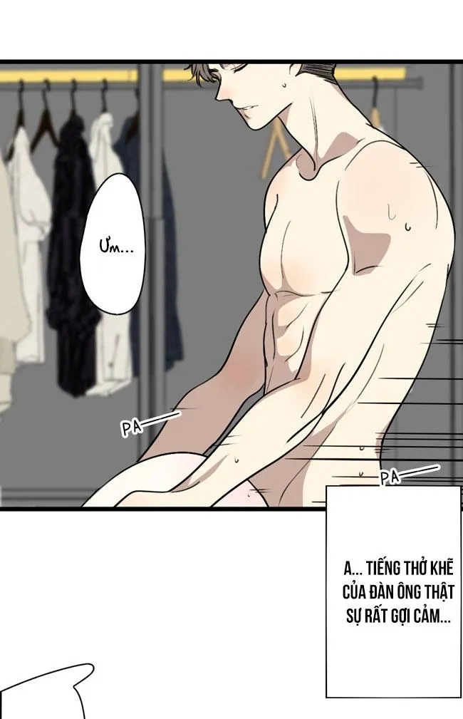 ĐẠI KIM CHỦ Chapter 8 Trang 6