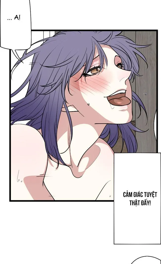 ĐẠI KIM CHỦ Chapter 8 Trang 7