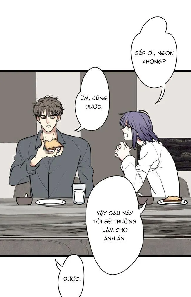 ĐẠI KIM CHỦ Chapter 8 Trang 16