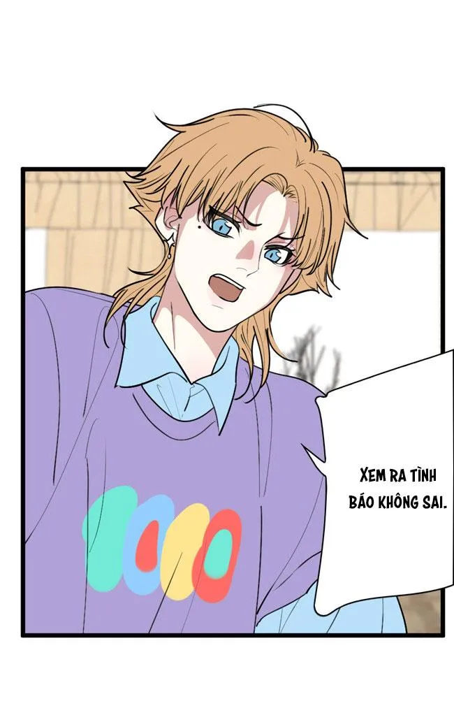 ĐẠI KIM CHỦ Chapter 9 Trang 25